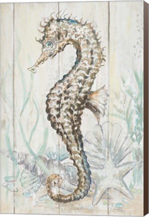 Framed Antique Sea Horse II Print