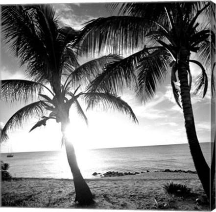 Framed BW Bimini Sunset I Print