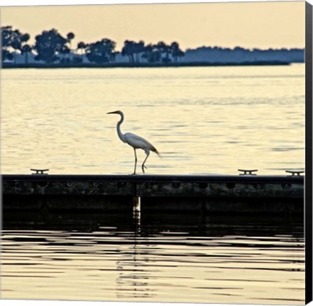 Framed Along The Pier Print