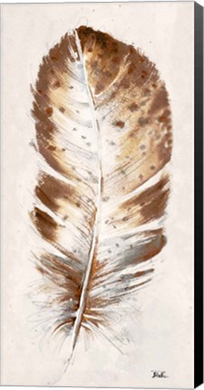 Framed Brown Watercolor Feather I Print