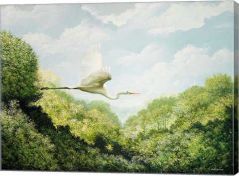 Framed Egret Print