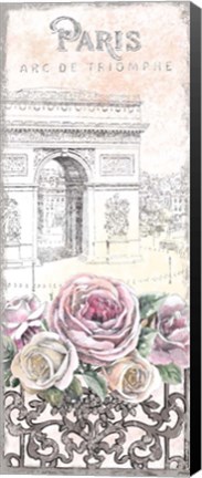 Framed Paris Roses Panel VII Print