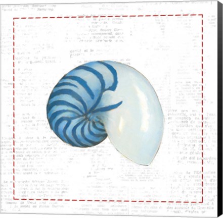 Framed Navy Nautilus Shell on Newsprint with Red Print