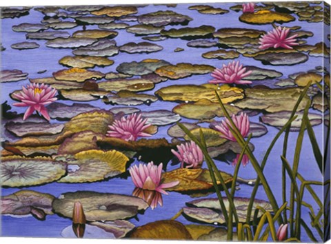 Framed Water Lilies Print