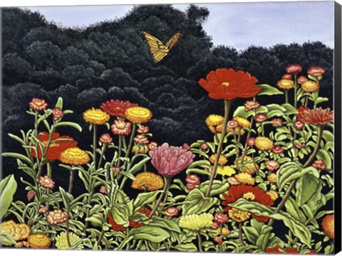 Framed Butterfly Print