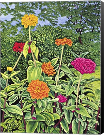 Framed Zinnias Print
