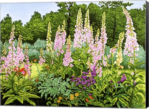 Framed Ann&#39;s Garden Print