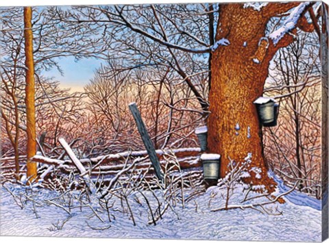 Framed Buckets And Branches Print