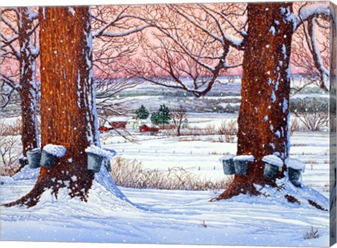 Framed Buckets Of Snow Print
