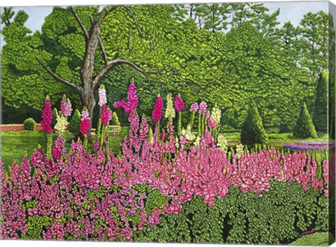 Framed Foxglove Garden Print
