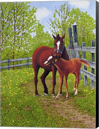 Framed Mother&#39;s Love, Machias Ny Print