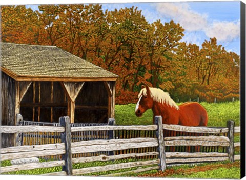 Framed Old Horse Shed, Mumford Ny Print