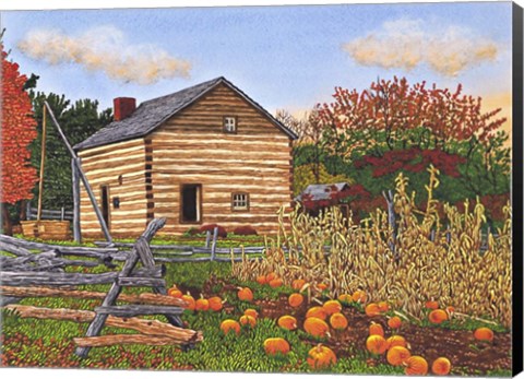 Framed Pumpkin Patch At Mumford Ny Print