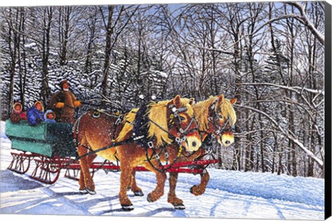 Framed Sleigh Ride At Chestnut Ridge, Orchard Park, Ny Print