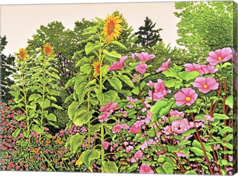 Framed Sunflower Quartet Print