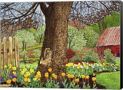 Framed Tulips And Daffodils, Boston Ny Print