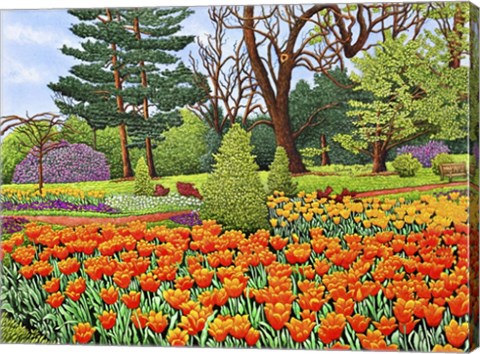 Framed Tulips At Longwood Gardens II, Kennett Square Pa Print