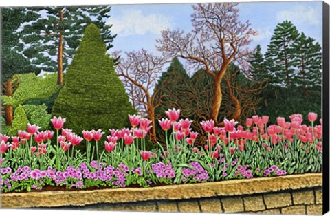 Framed Tulips At Longwood Gardens III, Kennett Square Pa Print