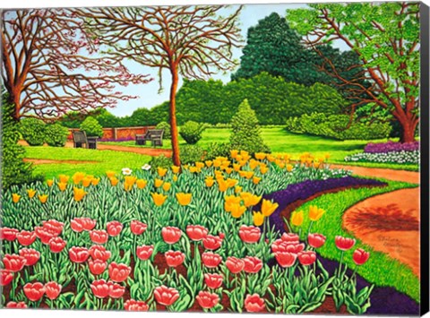 Framed Tulips At Longwood Gardens V, Kennett Square Pa Print