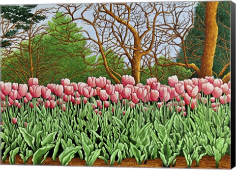 Framed Tulips At Longwood Gardens Vi, Kennett Square, Pa Print