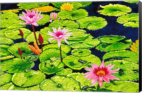Framed Water Lilies II Print