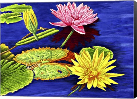 Framed Water Lilies III Print