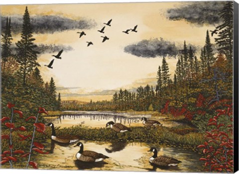 Framed Canada Geese Print