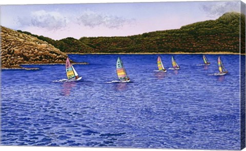 Framed Hobie Cats Print