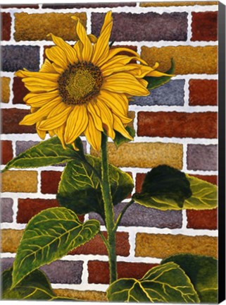 Framed One Sunflower Print