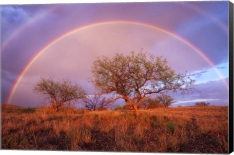 Framed Arizona Rainbow Print