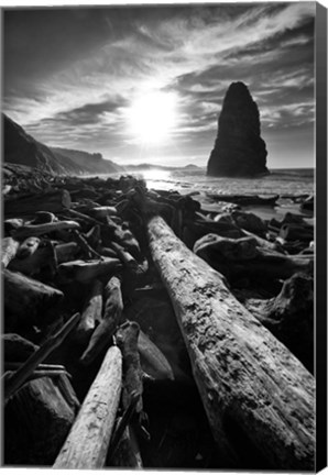 Framed Driftwood Sun 1 Silver Print