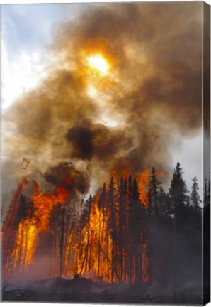 Framed Torching Print