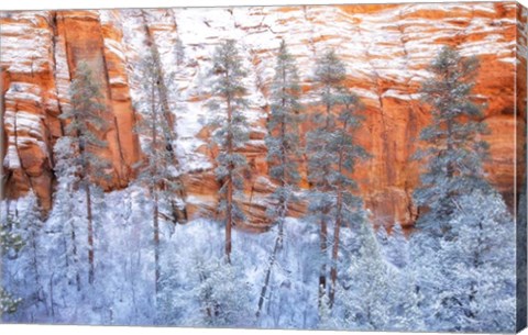 Framed Ponderosa Sandstone Print