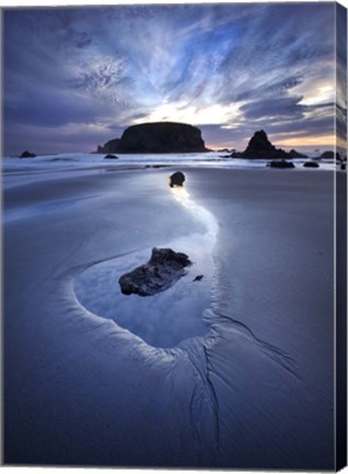 Framed Reflection Whale Head Print
