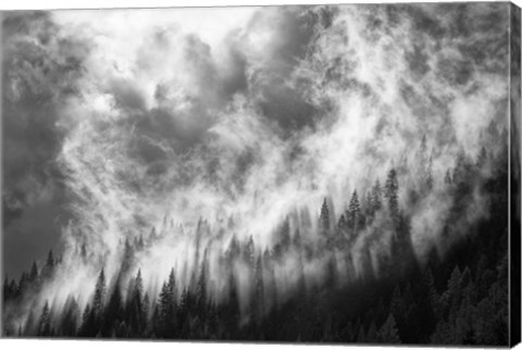Framed Rising Mist 3 Print