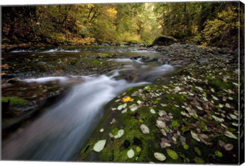 Framed Rushing Best Print