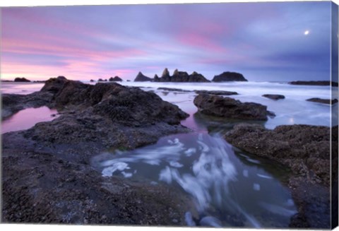 Framed Seal Rock Colors Print