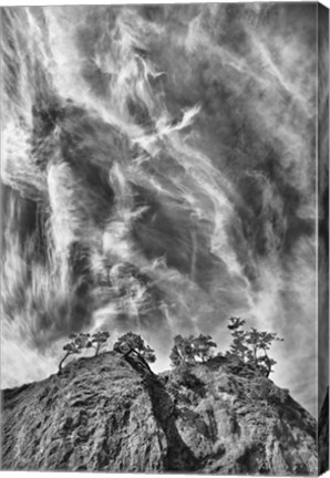 Framed Tree Island Clouds Pushed Print