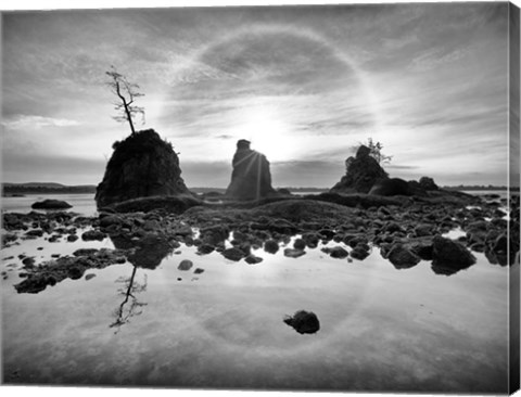 Framed Tree Island Print