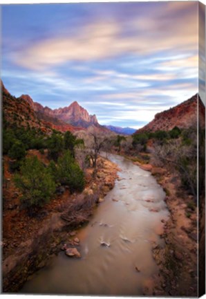 Framed Zion River Vert Print