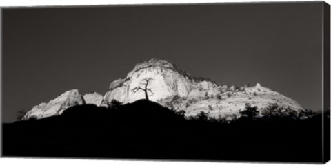 Framed Zion Tree Silhouette Print