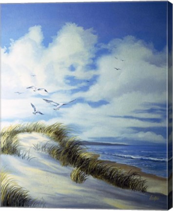 Framed Sand Dune Print