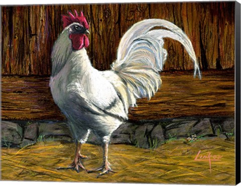 Framed Bantam Rooster Print