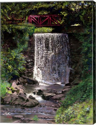 Framed Cutalusa Falls Print