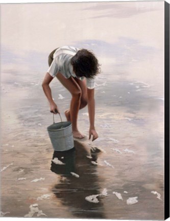 Framed Shell Collector Print