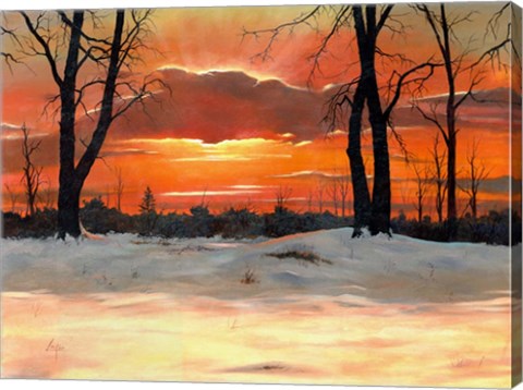 Framed Winter Shadows Print