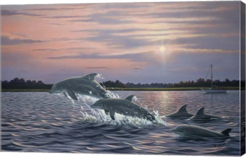 Framed Dolphins Print