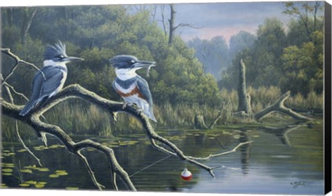 Framed Fisherman's Luck, Belted Kingfishers Print