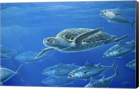 Framed Sea Turtle Print
