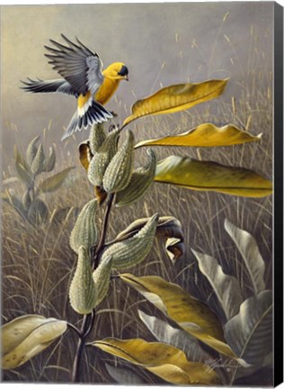 Framed Meadow Gold Print